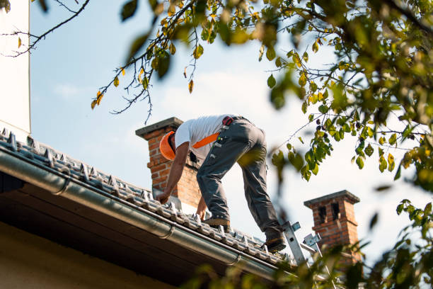 Best Chimney Flashing Repair  in Jerome, ID